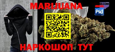 гидра Рязань