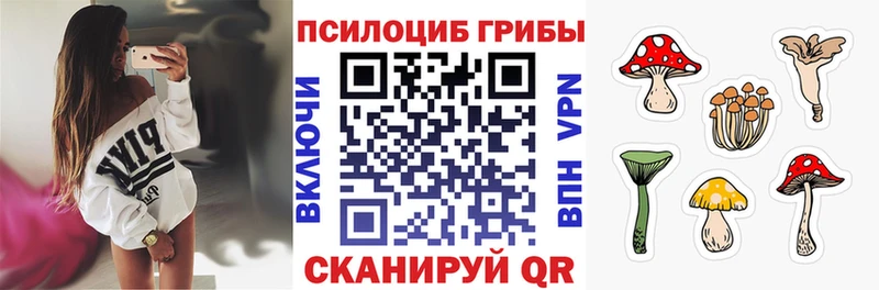 Галлюциногенные грибы Psilocybe  Купить  Чебаркуль 