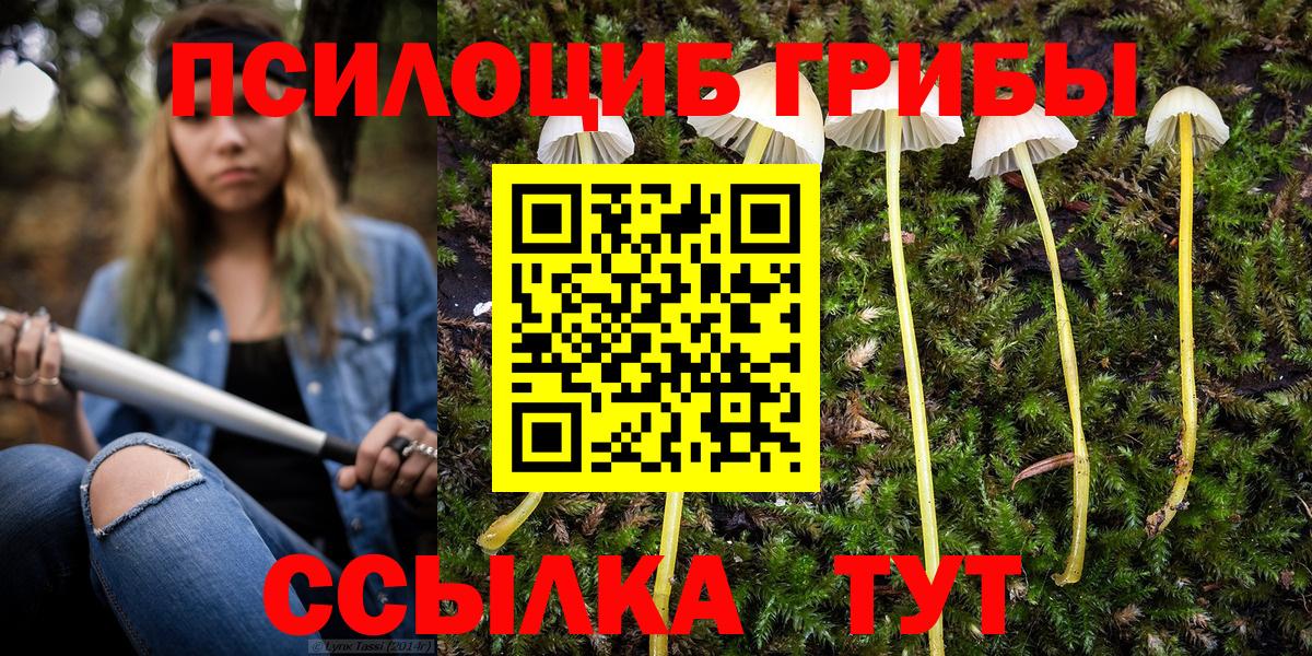 Галлюциногенные грибы GOLDEN TEACHER Чебаркуль