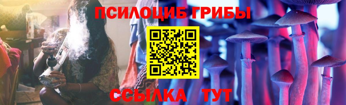 купить   Вход с VPN  Чебаркуль  Галлюциногенные грибы Psilocybe 